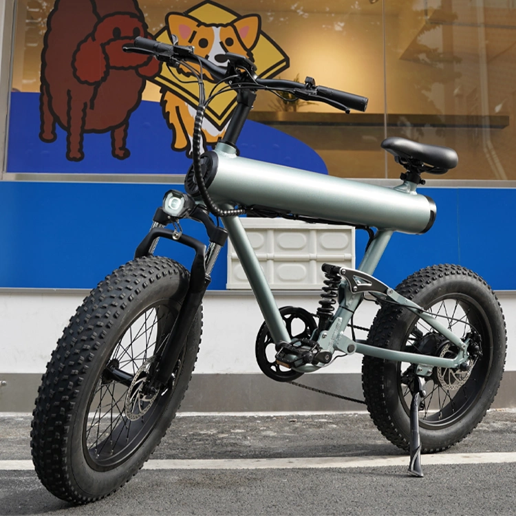 Manufacturer New Design Fat Tire Ebike with 10ah 48V 500W E-Bike