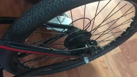 OEM China Factory 350W 29er Elektrofahrrad mit bürstenlosem Motor Biciletta