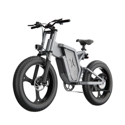 40-120 km Ebike Fabrikpreis 1000 W 20 Zoll Fat Tire Elektrofahrrad mit versteckter Batterie