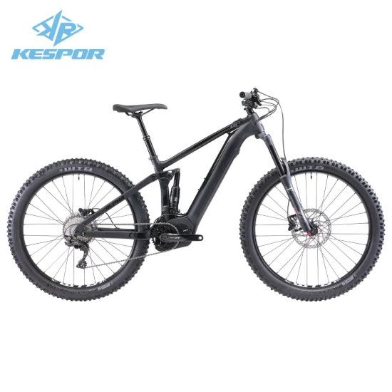 High-End-OEM-Großhandel 27,5/29 Zoll 36V 250W/500W MID-Antriebsmotor-Mountain-Elektrofahrrad mit Kohlefaserrahmen