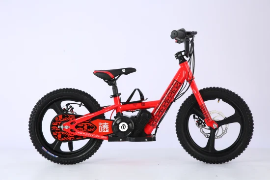 2023 brandneue Kinder-Elektro-Dirt-Bike-Elektrofahrräder für Kinder