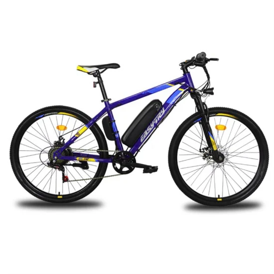 Heißer, hochwertiger E-Cycle China-Hersteller, maßgeschneidertes 10-Ah-Elektrofahrrad 36 V/48 V, 250 W/350 W/500 W E-Bike