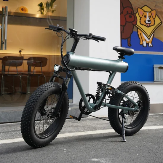 Hersteller Neues Design Fat Tire Ebike mit 10ah 48V 500W E-Bike